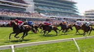 Business 
                                              Premium
                                            Unbridled inflation an each