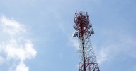 Indus Towers Q2 Results: Profit Dips 17%, Revenue Sees Uptick