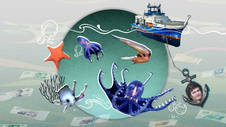La expedición submarina del Atlántico que enfureció a los seguidores de Javier Milei