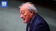 Thriving Kids autism service causing 'significant anxiety', Labor MP warns, and may need changing