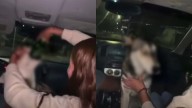 Expulsa UPNECH a estudiante por embriagar a perrito en Madera