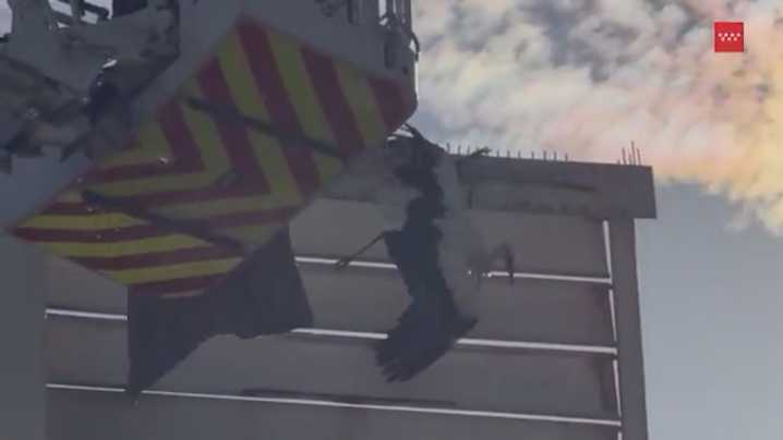 Así ha sido el difícil rescate de una cigüeña en apuros en San Martín de la Vega