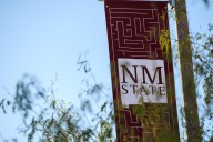 NMSU faculty included on list of world’s top research scientists