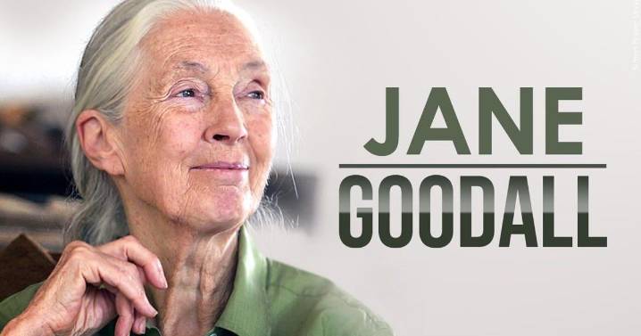 Conservationist Jane Goodall, whose work revolutionized the study of primates, has died