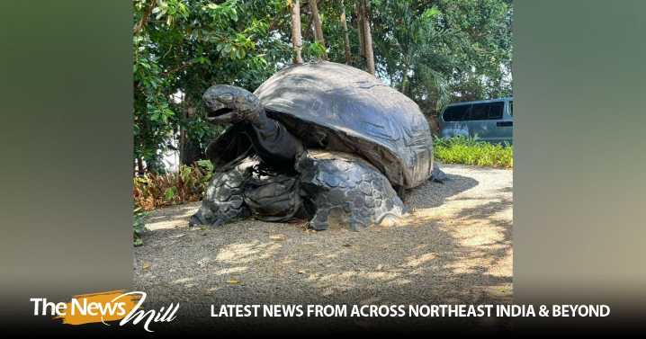 Roaming free in paradise: Seychelles’ giant tortoises and their special bond with India