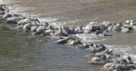 New Kern River weir project completed