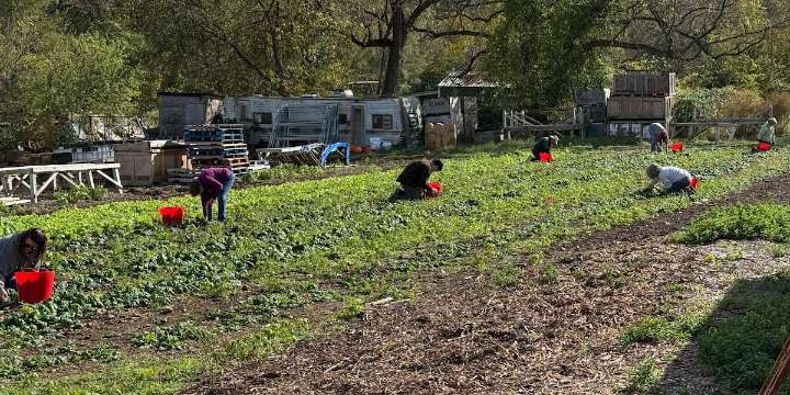 FIRST ALERT WEATHER: Fassnight Creek Farms and Ozarks Food Harvest partner as SNAP benefits are set to expire
