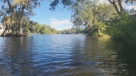 ‘Amount of garbage collected is sad’: Waterway serving as home to various wildlife scrutinized for high levels of trash