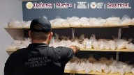 Aseguran más de 385 kilos y 170 litros de metanfetamina en Sinaloa