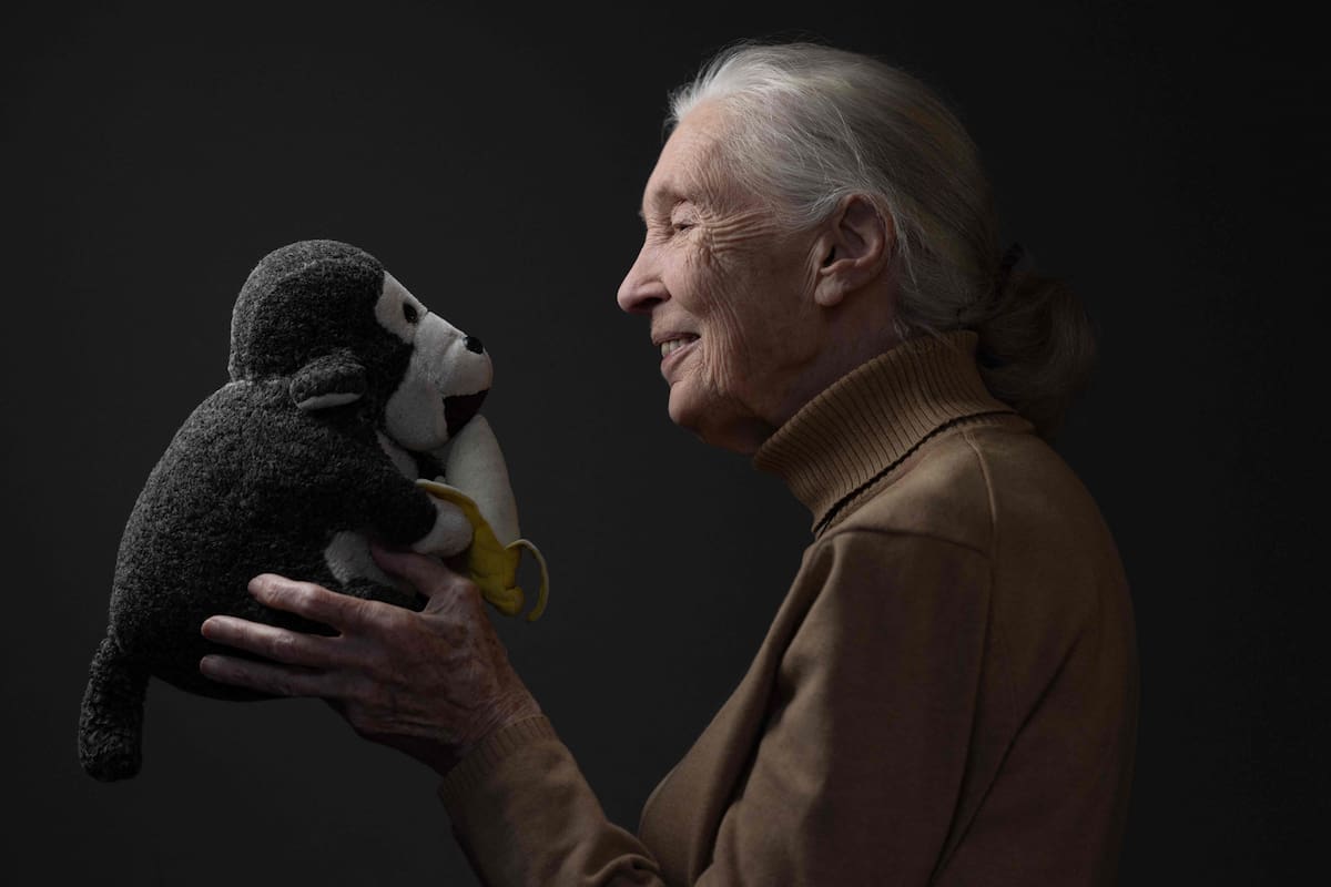 La muerte de la conservacionista. La última aventura de Jane Goodall
