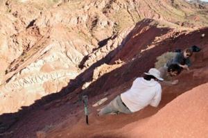 One of world’s oldest dinosaurs discovered in Argentina