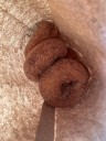 Football Saturdays are best with Dexter Cider Mill doughnuts