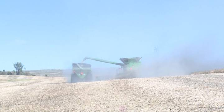Despite increase in farm bankruptcies nationwide, North Dakota is bucking the trend