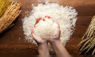 India's rice exporters aim to tap into opportunities worth ₹1.80 lakh cr, sign MoUs worth ₹25,000 cr