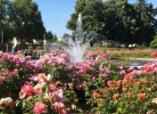 Opinion: The future of our parks is in our hands