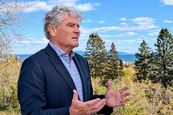 Liberal MPP says party has 'got to do the work' to rebuild in region
