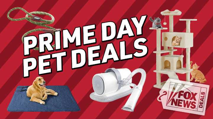Prime Big Deal Days means big pet savings: Up to 50% off cat and dog gear
