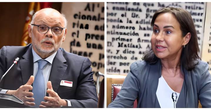 La Audiencia Nacional pide a la UCO que investigue las cuentas de Pardo de Vera y el ex director de carreteras