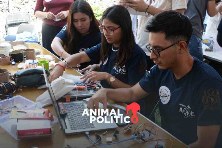 México reactiva apoyo a estudiantes de posgrado en el extranjero, suspendido en sexenio de AMLO