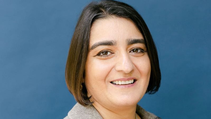 Q&A: WSU professor Shooshan Danagoulian on link between allergies, mental health