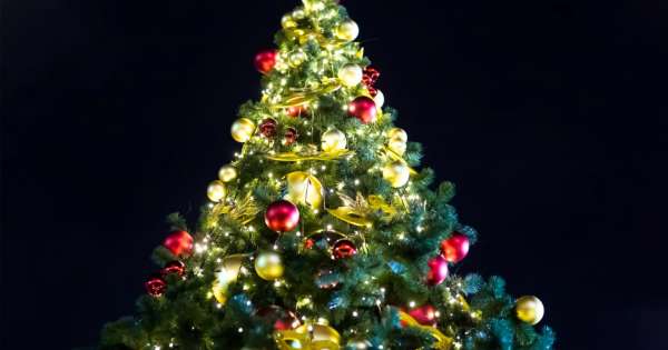 Adiós árbol de Navidad: la nueva opción para las fiestas que ya es tendencia en el mundo