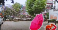 Activan alerta amarilla por fuertes vientos en 11 alcaldías de la CDMX