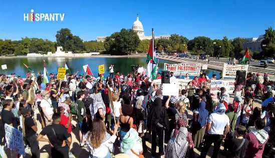 Miles marchan en Washington por Palestina y el fin del genocidio