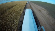 Opinión. Kahneman se sube al tractor: retenciones, sesgos cognitivos y desencanto en el campo