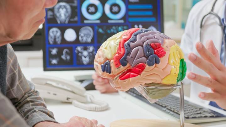 Video | Cinco maneras de fortalecer tu cerebro - Canal 1