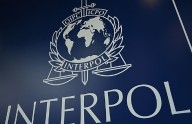 Una operación de Interpol por delitos ambientales en 9 países de América con 225 arrestos