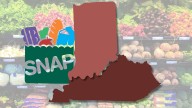 1M+ rely on SNAP across Kentucky, Indiana: Maps show which areas could take hardest hit