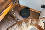 The 8 Best Pet Hair Vacuums, Tested by Real Pet Parents