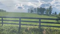 City council approves annexation for housing development in Pickens