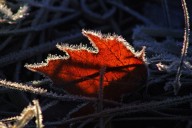 It’s warm in Louisville now, but frosty conditions will be here soon enough
