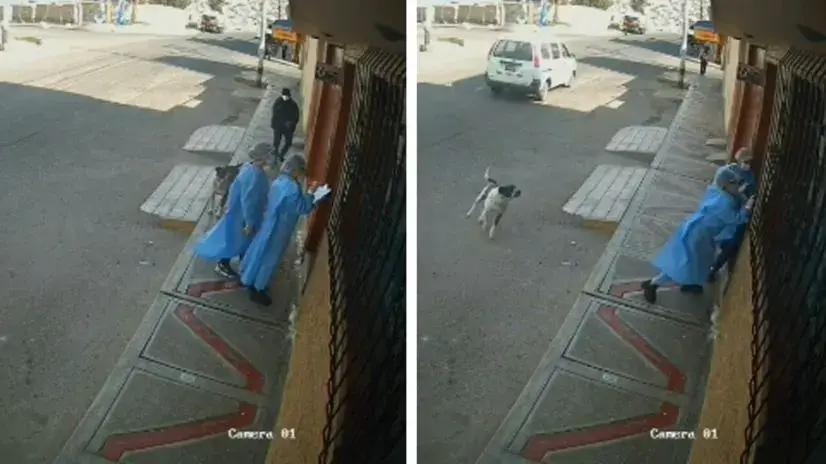 Delincuentes se disfrazan de enfermeras para asaltar una casa en Tacna [VIDEO]