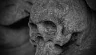 Extraño hallazgo de tres cráneos humanos en Museo de Historia Natural de San Antonio