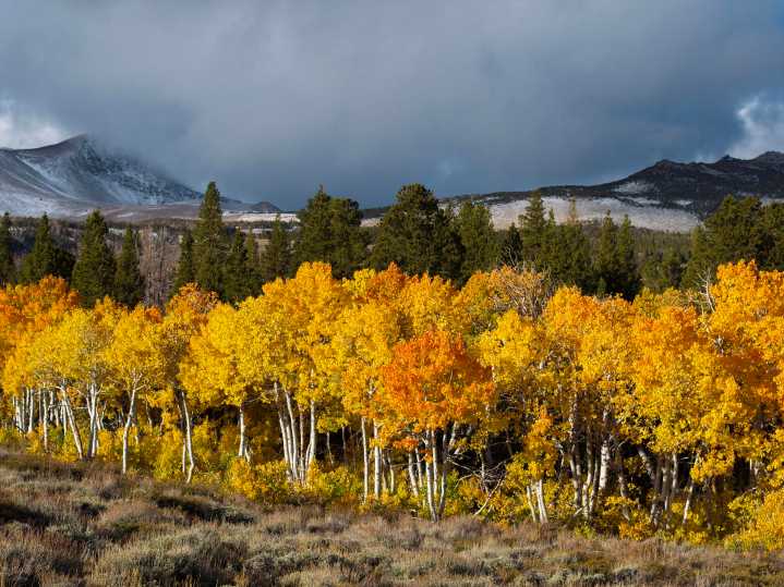 Where in the world is this? — and other pressing questions. It's the Country Life Quiz of the Day, October 14, 2025