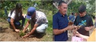 Nirgua inaugura Herbario Municipal y rescata la medicina ancestral local
