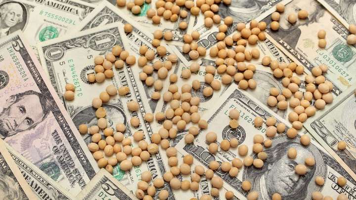 La soja marcó un récord en un mes ante el optimismo por las conversaciones comerciales entre EEUU y China