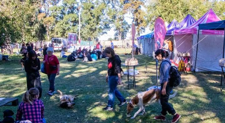“Día de Pelos” en el refugio de AJPA el próximo domingo