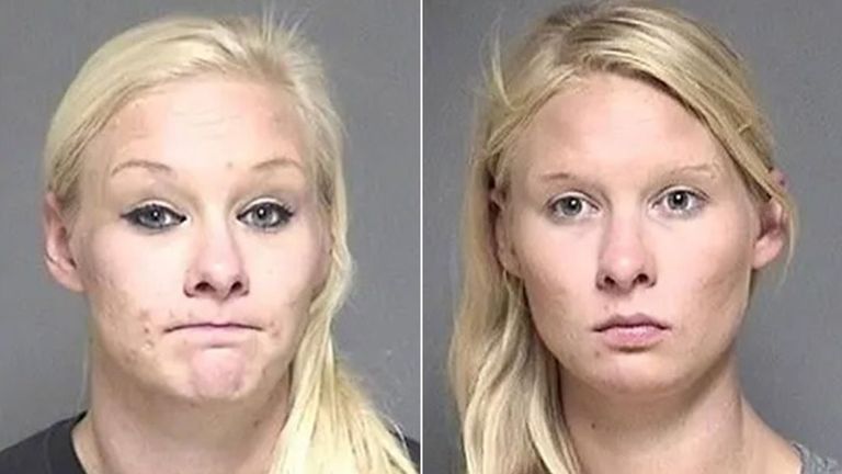 Twin who allegedly urged sister to take fall for deadly Amish buggy crash is jailed for four years