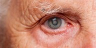 La planta comestible que ayuda a prevenir el glaucoma, las cataratas en ojos y purificar el hígado o los riñones