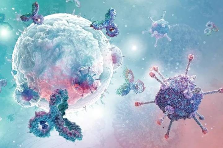 Nuevo avance médico: fortalecen el sistema inmunológico para evitar la reaparición del cáncer