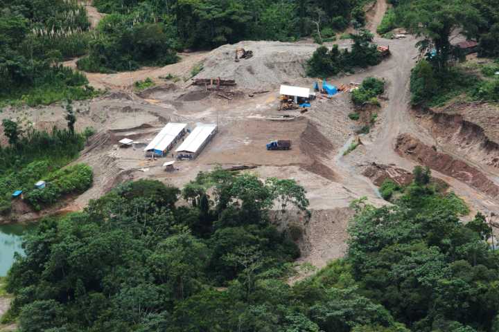 En el reino del Reinfo