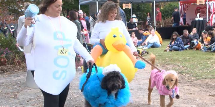 Howl-O-Ween brings dog parade, animal costume contest to Knoxville on Sunday