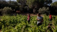 Mujeres rurales de Madrid exigen más inversión y menos burocracia en Bruselas