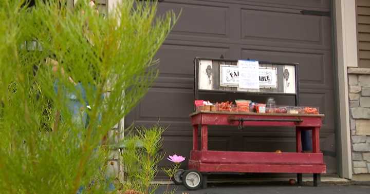 Lakeville family turns driveway into free food pantry: "We noticed there was a need"