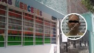 Detienen y procesan a Aquiles, hijo de la fundadora de 'La Casa de las Mercedes', por violación contra menor