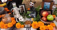 Preparan “Mega Altar” para mascotas en el Bosque de la Ciudad