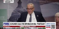 Schumer is taking an 'awful risk' by shutting down government, senator says